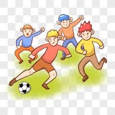 全国棒球联赛北京猛虎夺冠 时隔四年再登冠军宝座