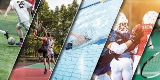 综合体育赛事专题合集 单项赛事集中阅读