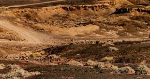 Msi官方故意针对LPL观众！首位精忠报国的韩援诞生，BLG不会夺冠